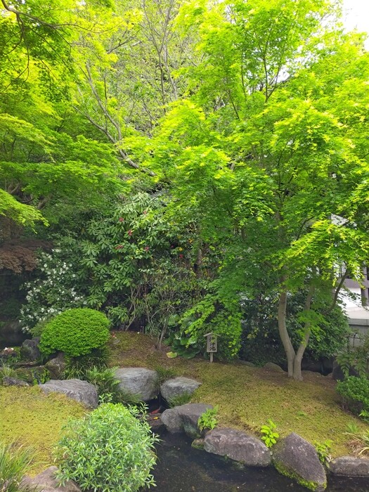 IMG20230412144636