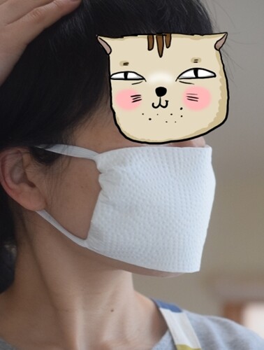 緊急事態 超簡単にマスクを作る ハンカチ キッチンペーパーでマスクを簡単手作り 家にあるもので Happy Go Lucky 心地いい暮らしのコツ Powered By ライブドアブログ