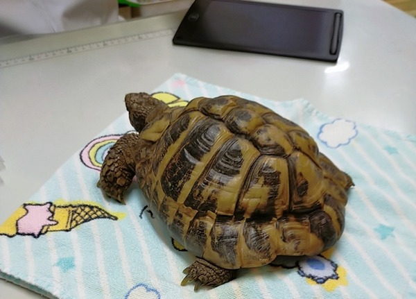 2024-10-12-17-42-24-609