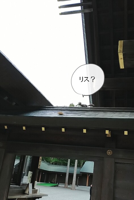 2023-05-23-09-28-22-762