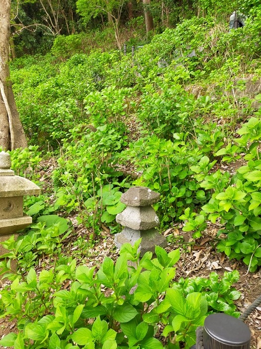 IMG20230412144931