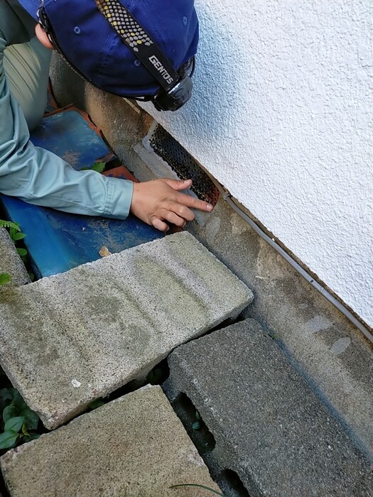 2024-10-21-10-43-10-984