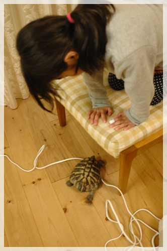 ひでちゃんに狙われないように