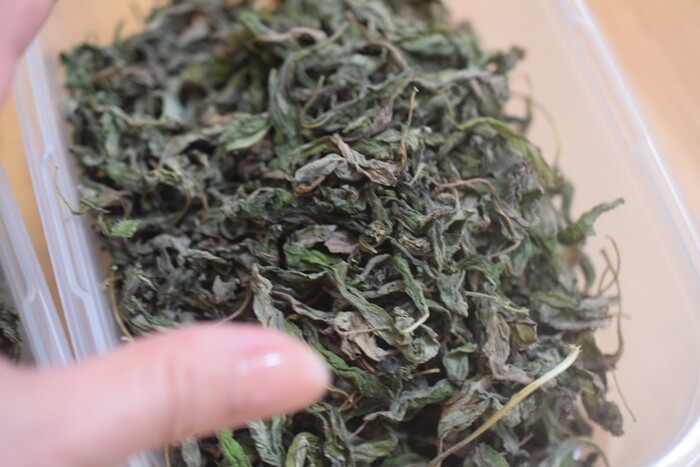 ハーブで保存食作り 強い日差しを利用 天日干しでドライバジル作り Happy Go Lucky 心地いい暮らしのコツ Powered By ライブドアブログ