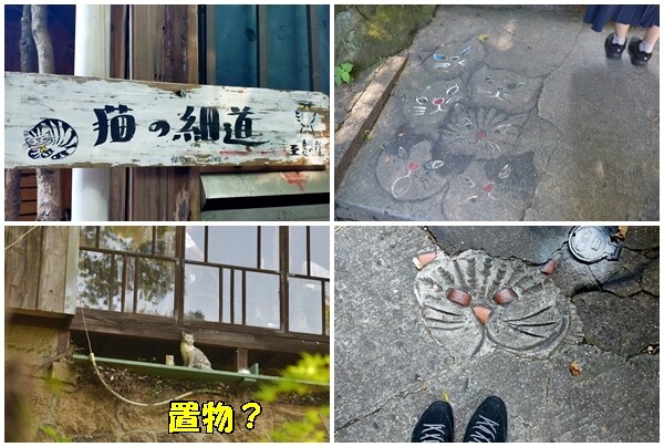 猫の細道２