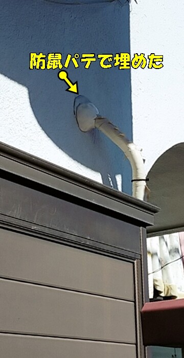 2024-12-09-10-01-51-773