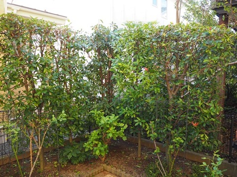 PA070085