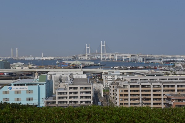 DSC_7073