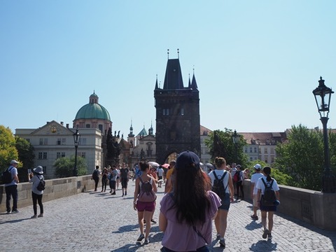 P7310179