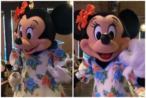 ミニーちゃん