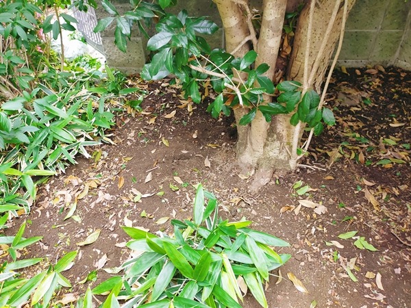 IMG20250524111700