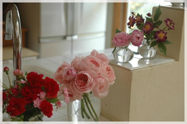 春も終わり 庭のバラを飾る Happy Go Lucky 心地いい暮らしのコツ Powered By ライブドアブログ