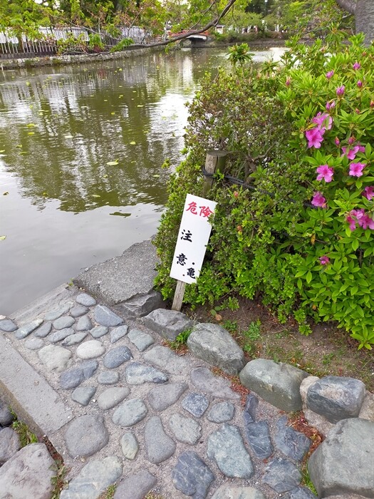 IMG20230412165504