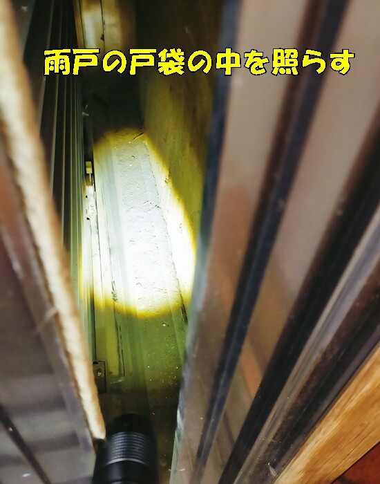 IMG20250112134052