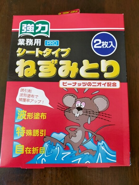 IMG20220228094717