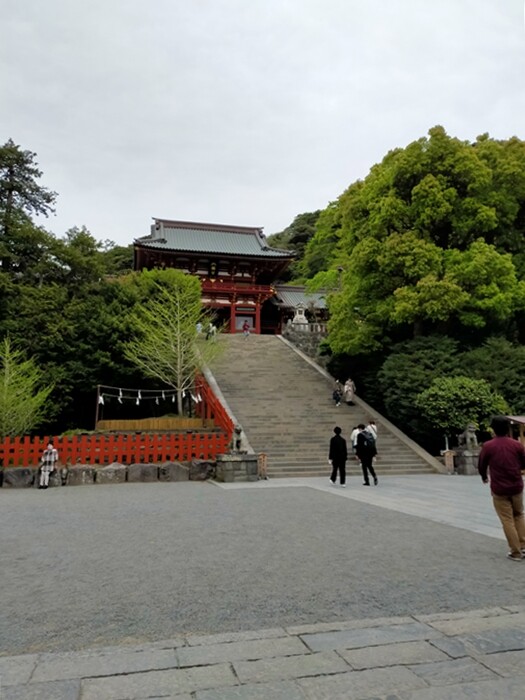 IMG20230412164339