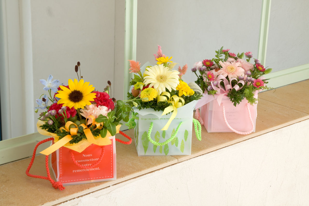 引越 花屋のhanaのブログ 引越 花屋のhanaのブログ