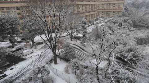 雪景色1