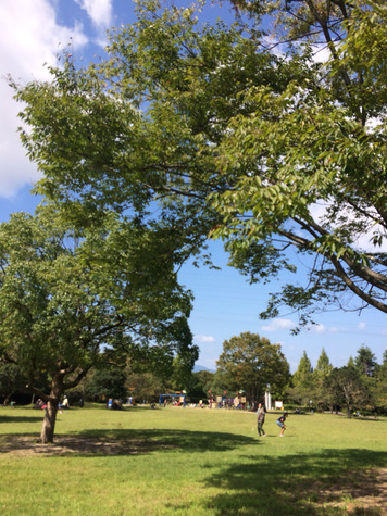 2014-09-28-11-29-09