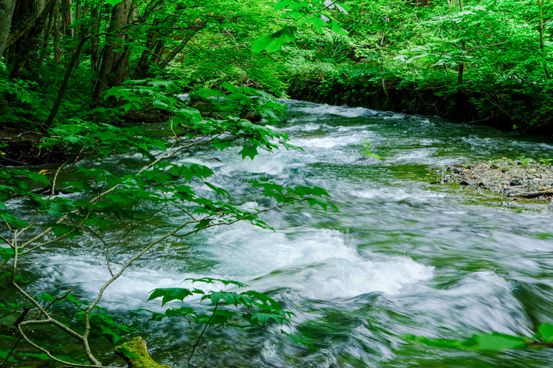 20190612_奥入瀬渓流_6