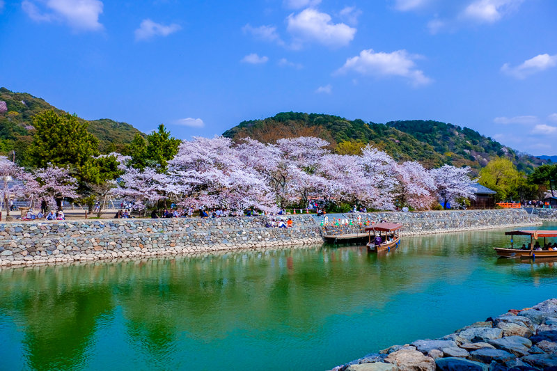 20180401_平等院_10