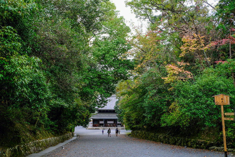 20181121_泉涌寺_2