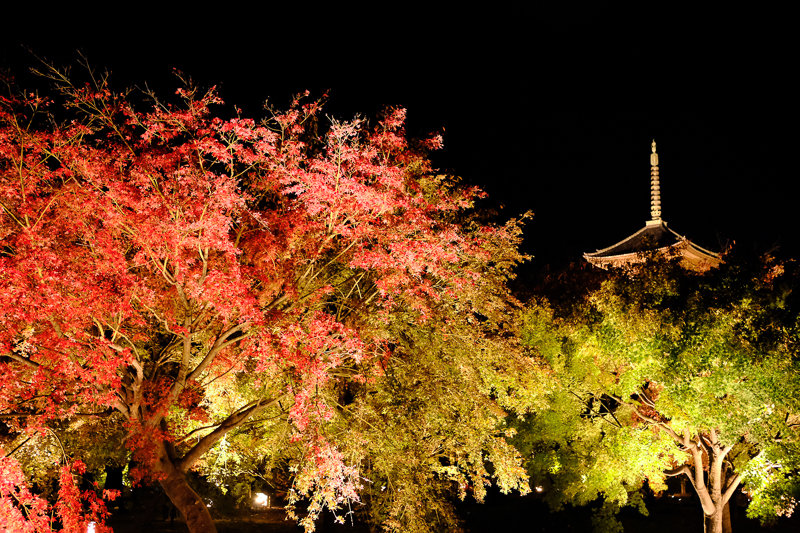 20181120__東寺_7