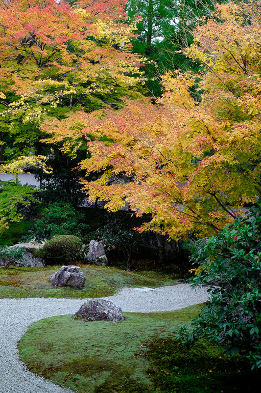 20181121_泉涌寺_7