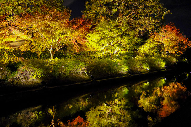 20181120__東寺_3