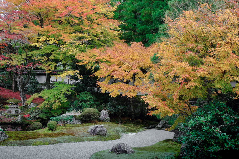 20181121_泉涌寺_5