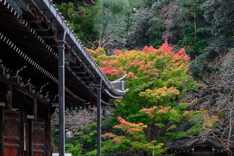 20181121_泉涌寺_4