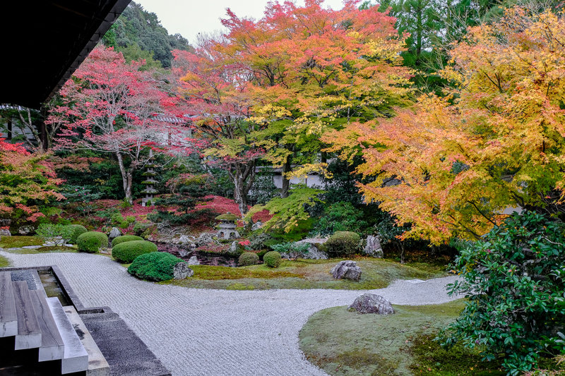 20181121_泉涌寺_1