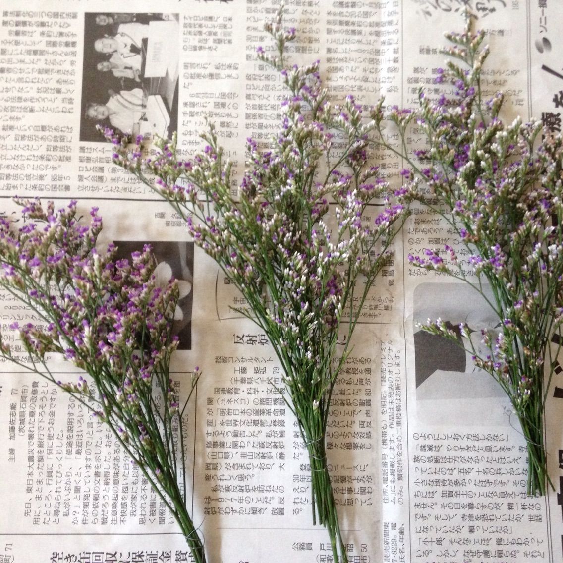 ドライフラワーのリース 作り方 アトリエ花あそび ブログ ドライフラワーのリース 作り方 アトリエ花あそび ブログ