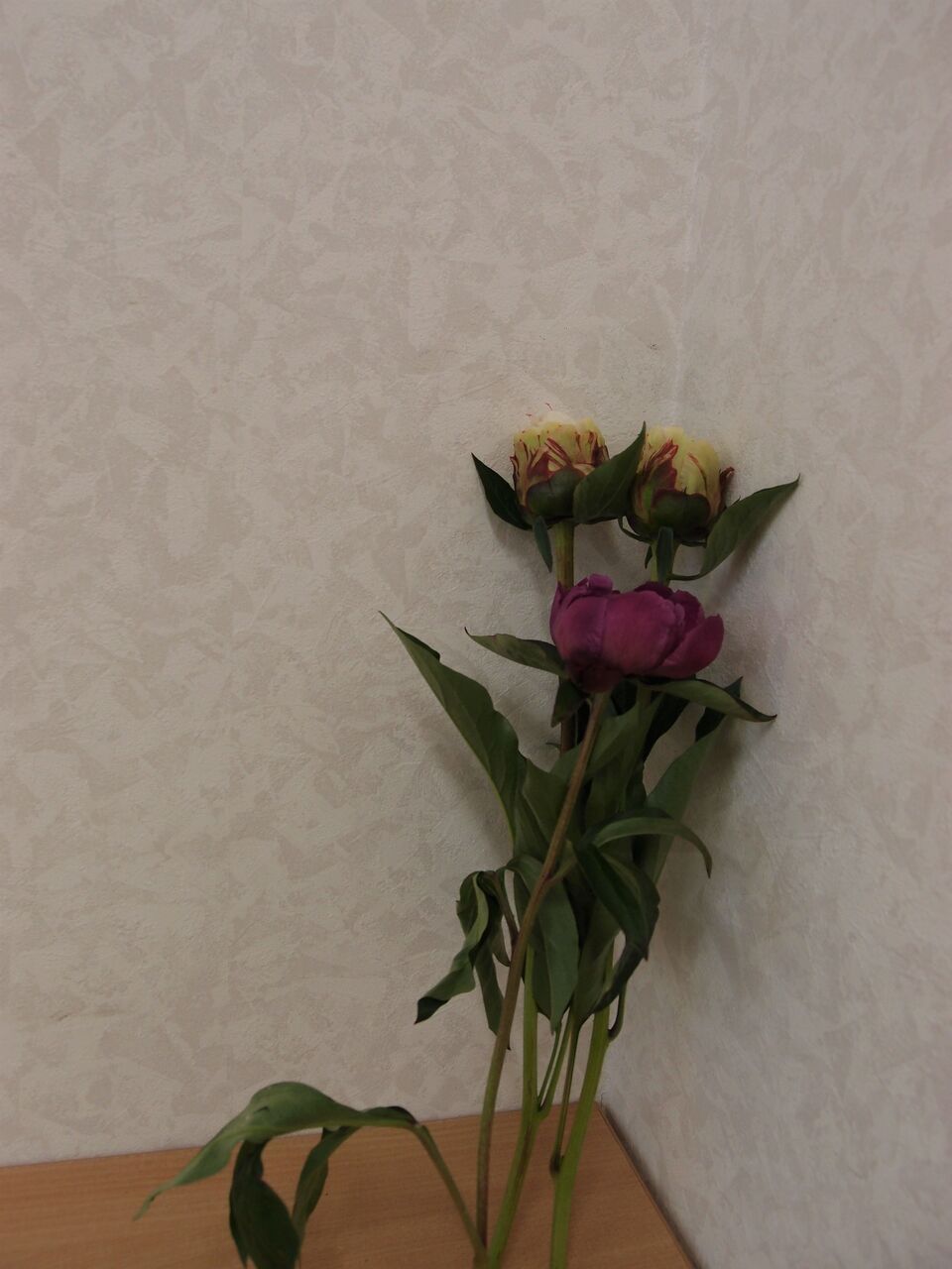 生花教室 花は癒しの名人です
