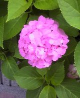 d77e08b6.jpg