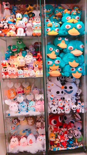 ぬいぐるみ棚 戦国コスプレカフェ バー 花の如く