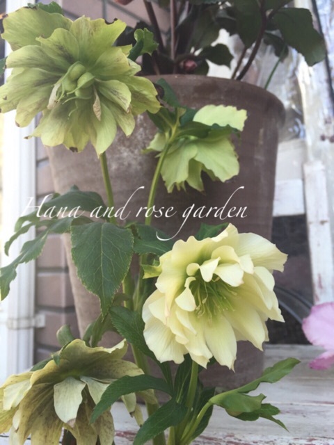 {D13CF262-9C8F-4D53-95C3-E363313C2AE7:01}