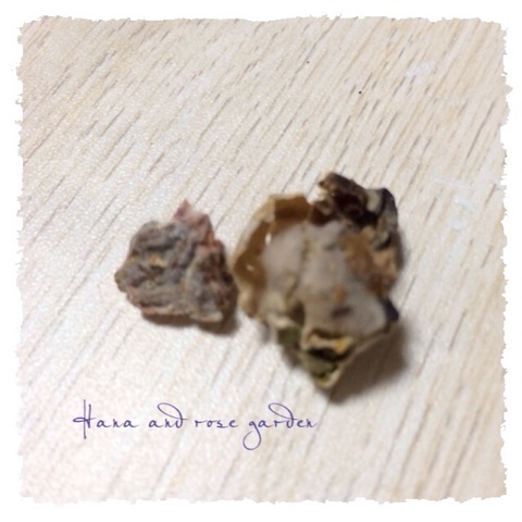 {558AE84E-615A-4EDD-8B03-59A09E3A4E9A:01}