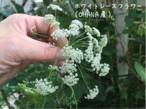 {DB9869CB-BD1A-4172-89F9-28FB5CA796F7:01}