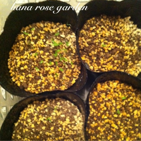 photo:05