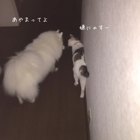 {E242560D-4187-4C52-B953-2063858F5A3D}