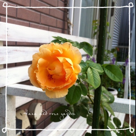 {A359E854-B91E-41B7-93E7-9E03B009BBC4:01}
