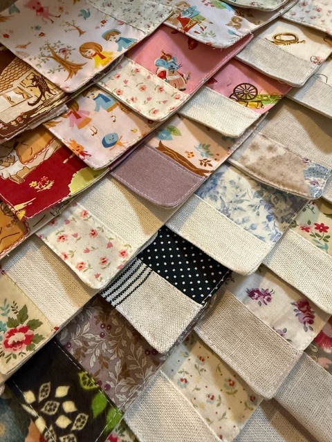 IMG_5255