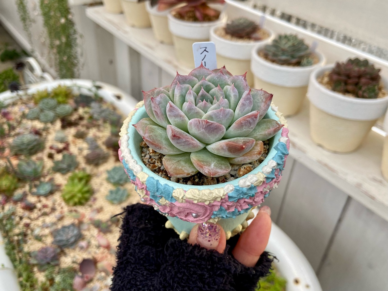 グリズリーパンダ　ガレージキット　クープ グリズリーパンダ ガレージキット クープ グリズリーパンダ