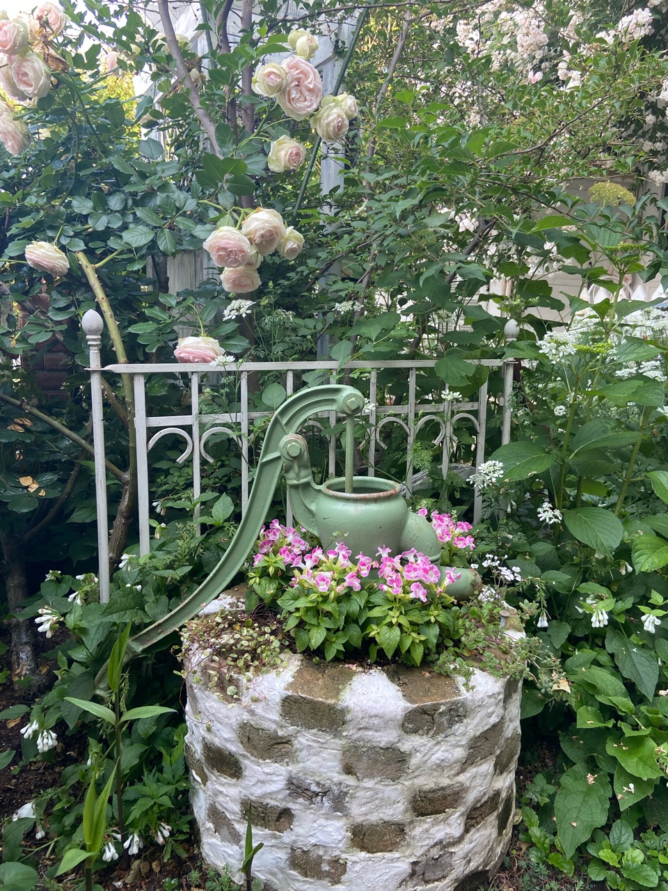 小庭のバラと草花…溢れ種の可愛い小花 : のばらのガーデニングブログ