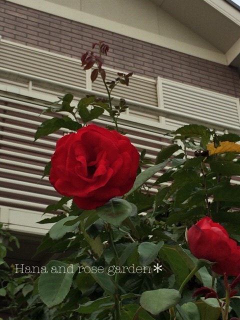{D0E18E29-254E-44D3-AB52-602A46331CD3:01}
