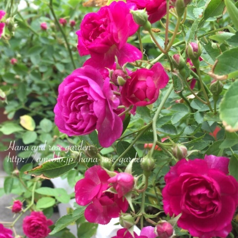 {3A3D7F36-2FF6-4DBC-BF49-C7A697A5A4B8:01}