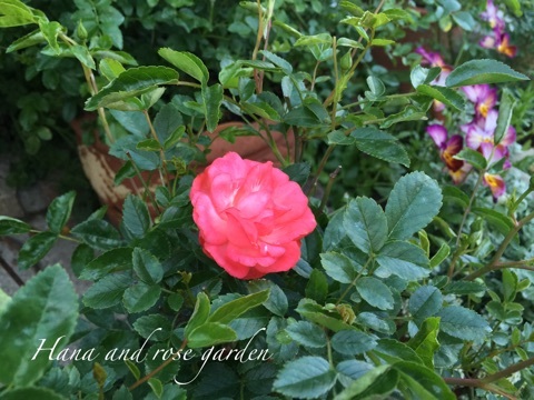 {93E02867-3F9B-4AE5-ABDC-2315CC1316B9}
