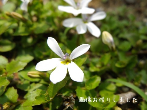 {82F2FA03-E6BA-46CD-B8ED-2E9E74E3D01F:01}