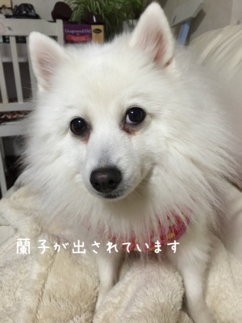 {1687A120-7704-468C-B53A-93D982823B0F:01}